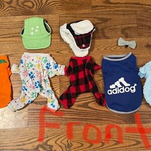 Adidog Blue Dog Vest